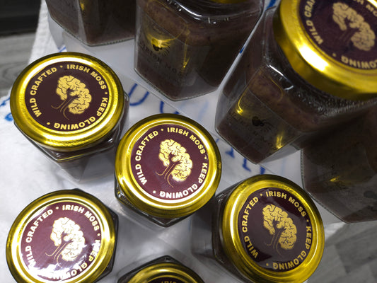 Wildcrafted Irish Sea Moss Gel – Organic, 92 Minerals, Key Lime & Date Blend 380ml