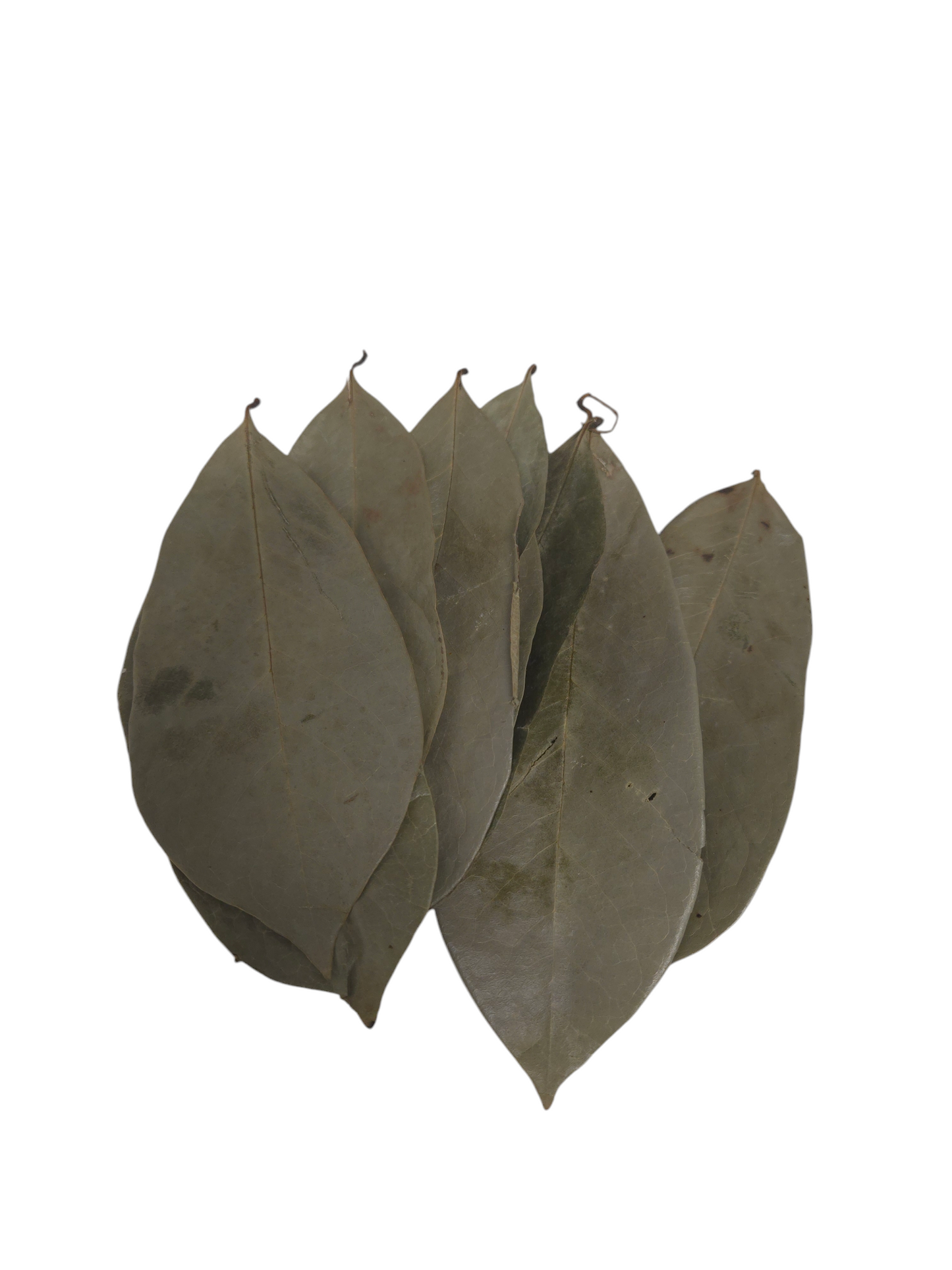 Organic Jamaican Soursop Leaves - Premium Dried Leaves for Wellness (30 Pack, 50g, 100g, 250g