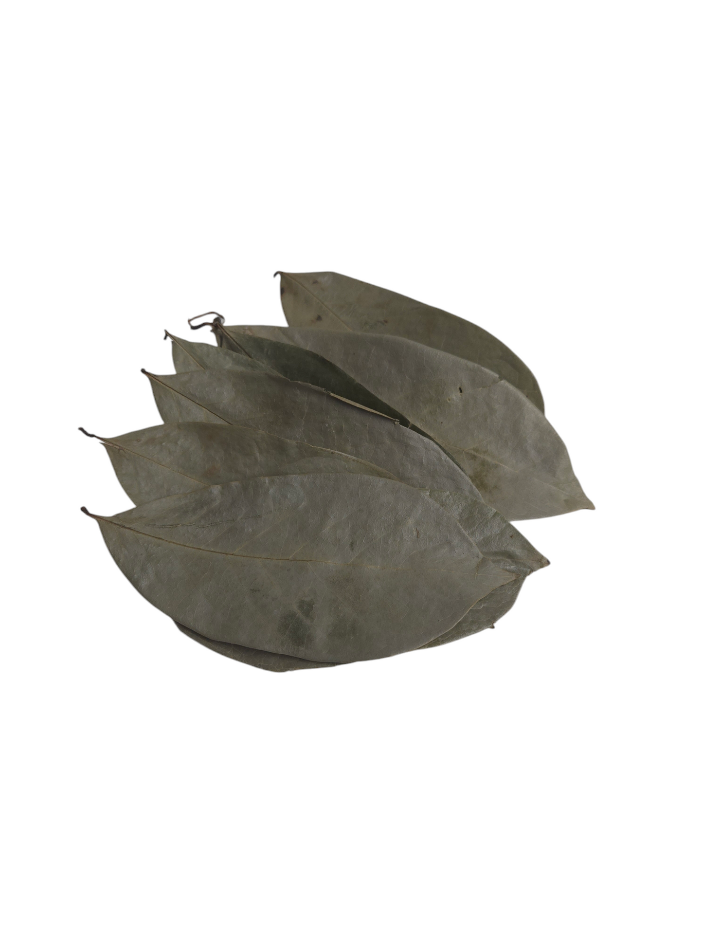 Organic Jamaican Soursop Leaves - Premium Dried Leaves for Wellness (30 Pack, 50g, 100g, 250g