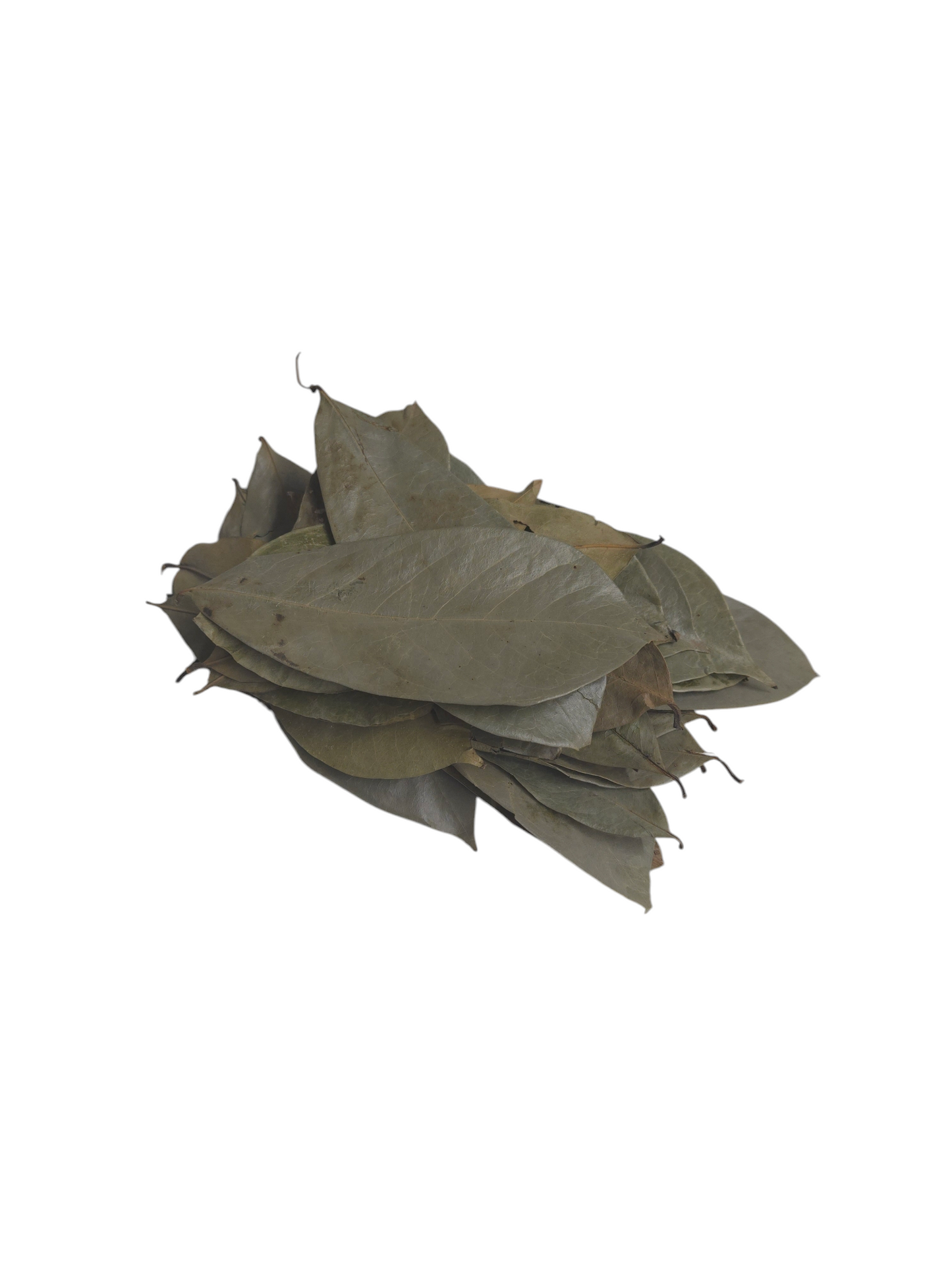 Organic Jamaican Soursop Leaves - Premium Dried Leaves for Wellness (30 Pack, 50g, 100g, 250g