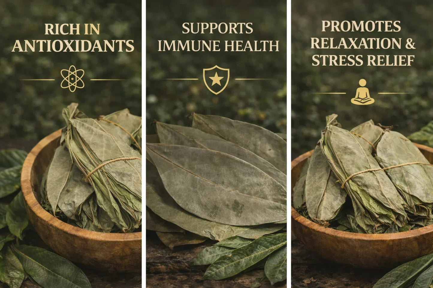 Organic Jamaican Soursop Leaves - Premium Dried Leaves for Wellness (30 Pack, 50g, 100g, 250g