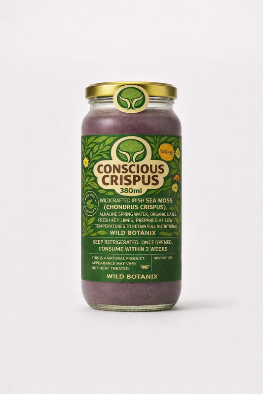 Wildcrafted Irish Sea Moss Gel — Key Lime & Date, 380ml