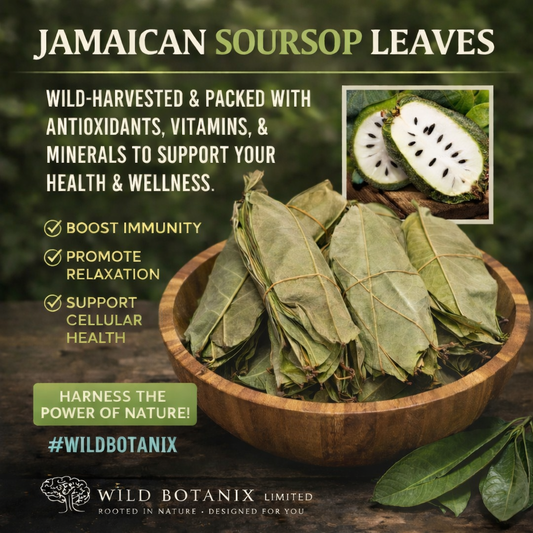 Organic Jamaican  Soursop Leaves - Premium Dried Leaves for Wellness (30 Pack, 50g, 100g, 250g