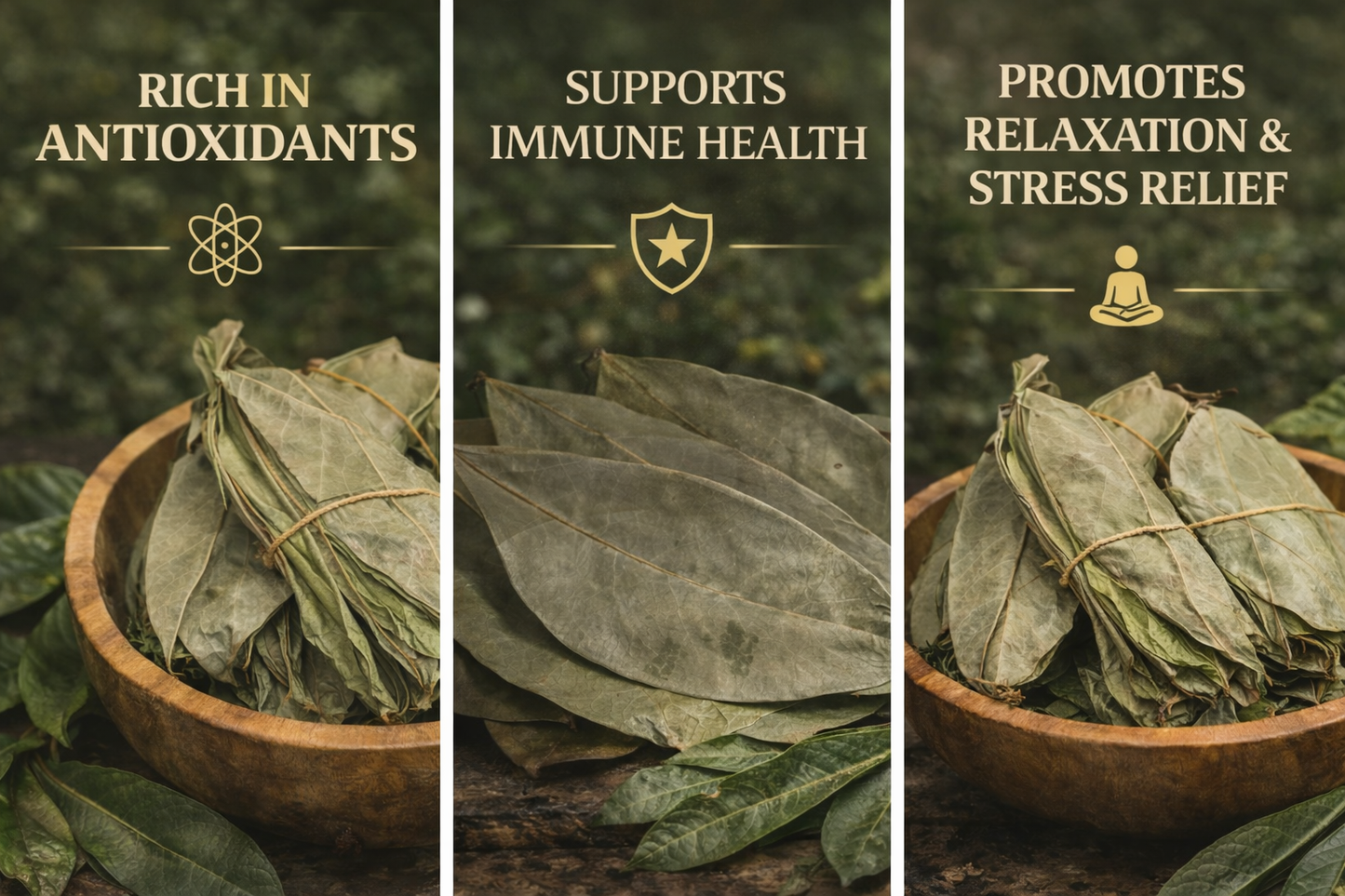 Organic Jamaican  Soursop Leaves - Premium Dried Leaves for Wellness (30 Pack, 50g, 100g, 250g