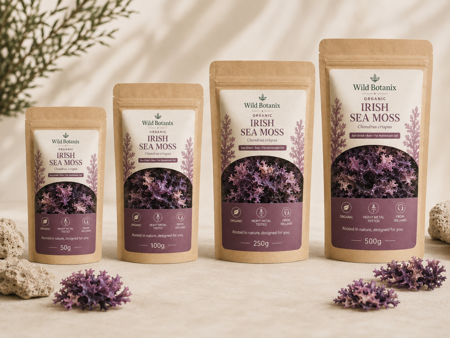 Wild Botanix Organic Irish Sea Moss four pouch lineup 50g 100g 250g 500g
