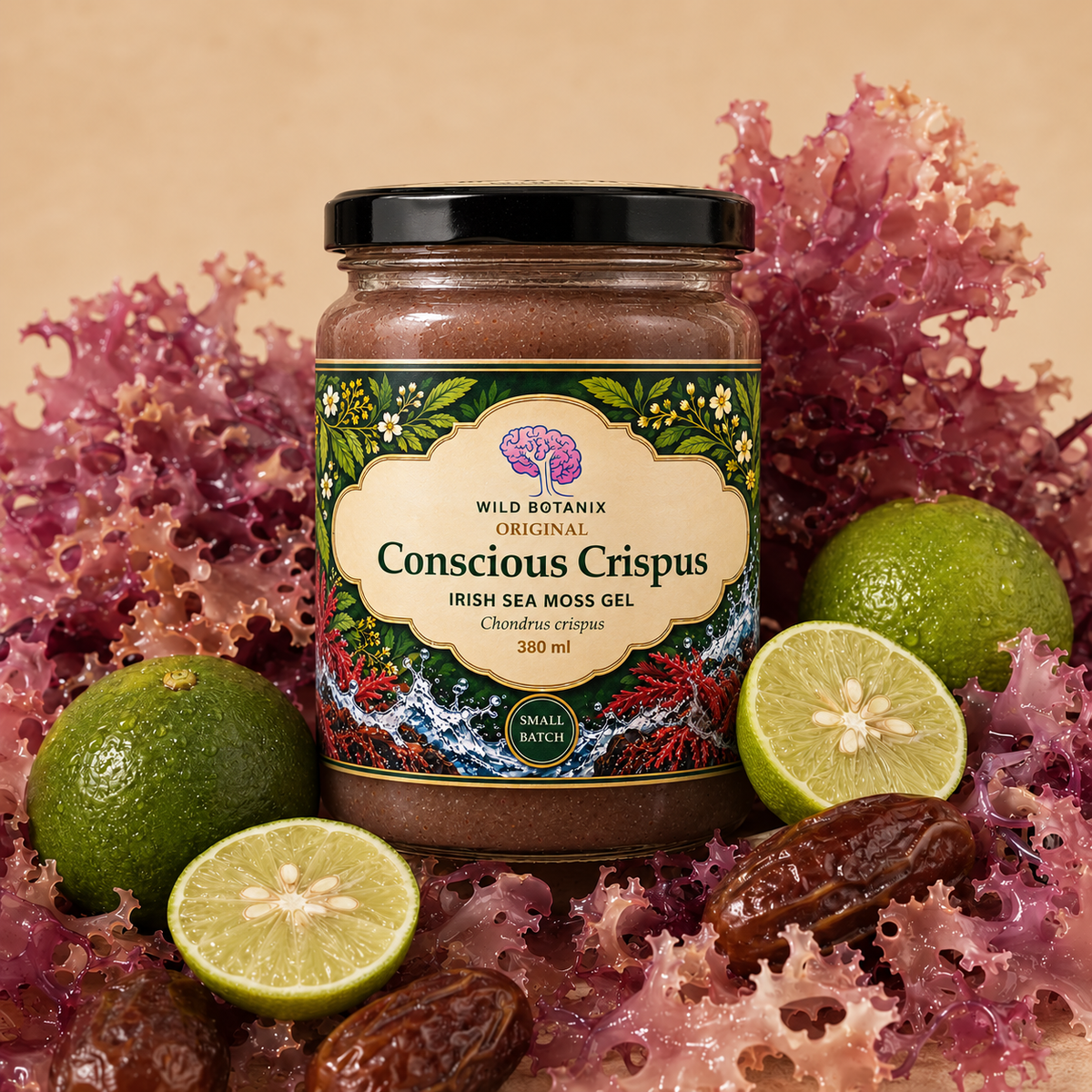 Wild Botanix Original Conscious Crispus Irish Sea Moss Gel 380 ml – hero with new label